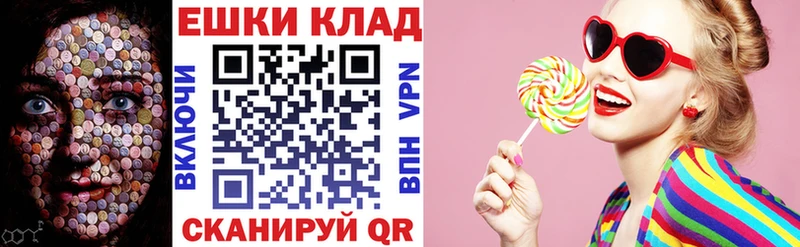 Купить закладки  Советская Гавань  Экстази Philipp Plein 