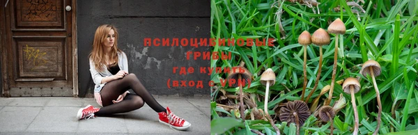 МДПВ Верея